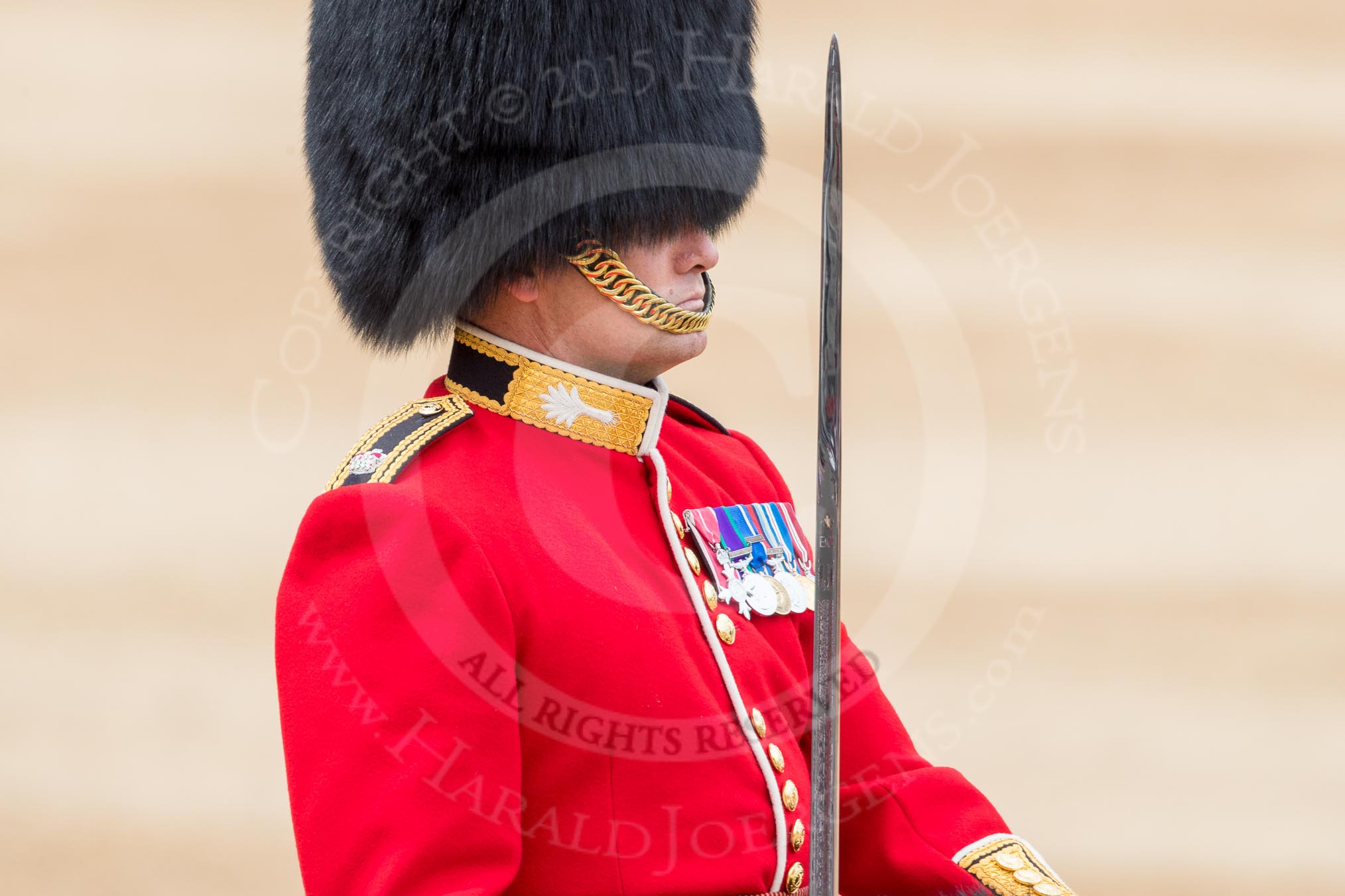 Trooping the Colour 2016.
Horse Guards Parade, Westminster,
London SW1A,
London,
United Kingdom,
on 11 June 2016 at 11:37, image #642