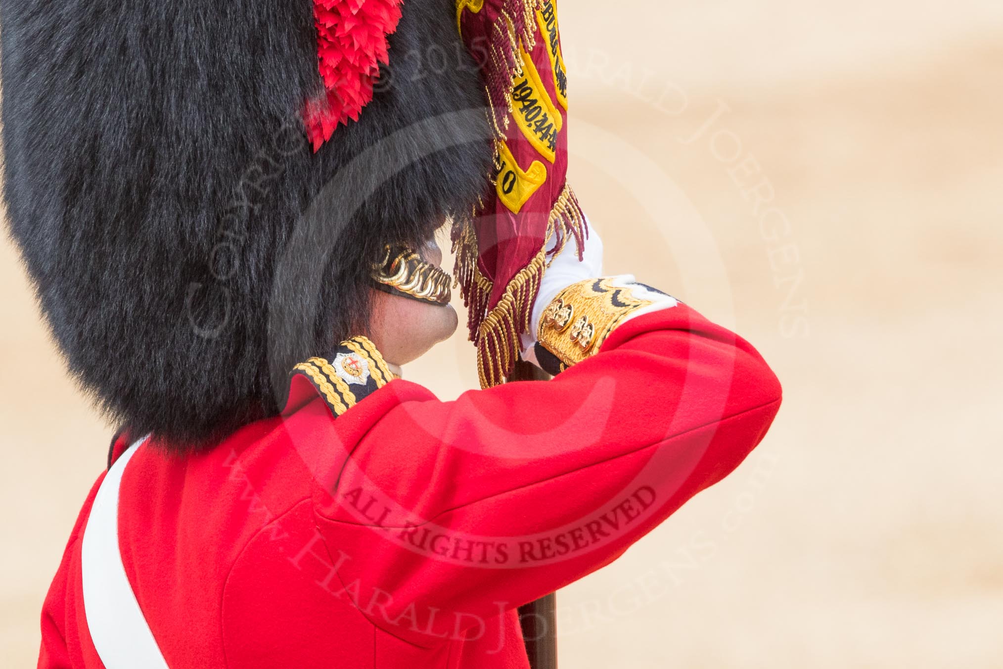 Trooping the Colour 2016.
Horse Guards Parade, Westminster,
London SW1A,
London,
United Kingdom,
on 11 June 2016 at 11:37, image #647