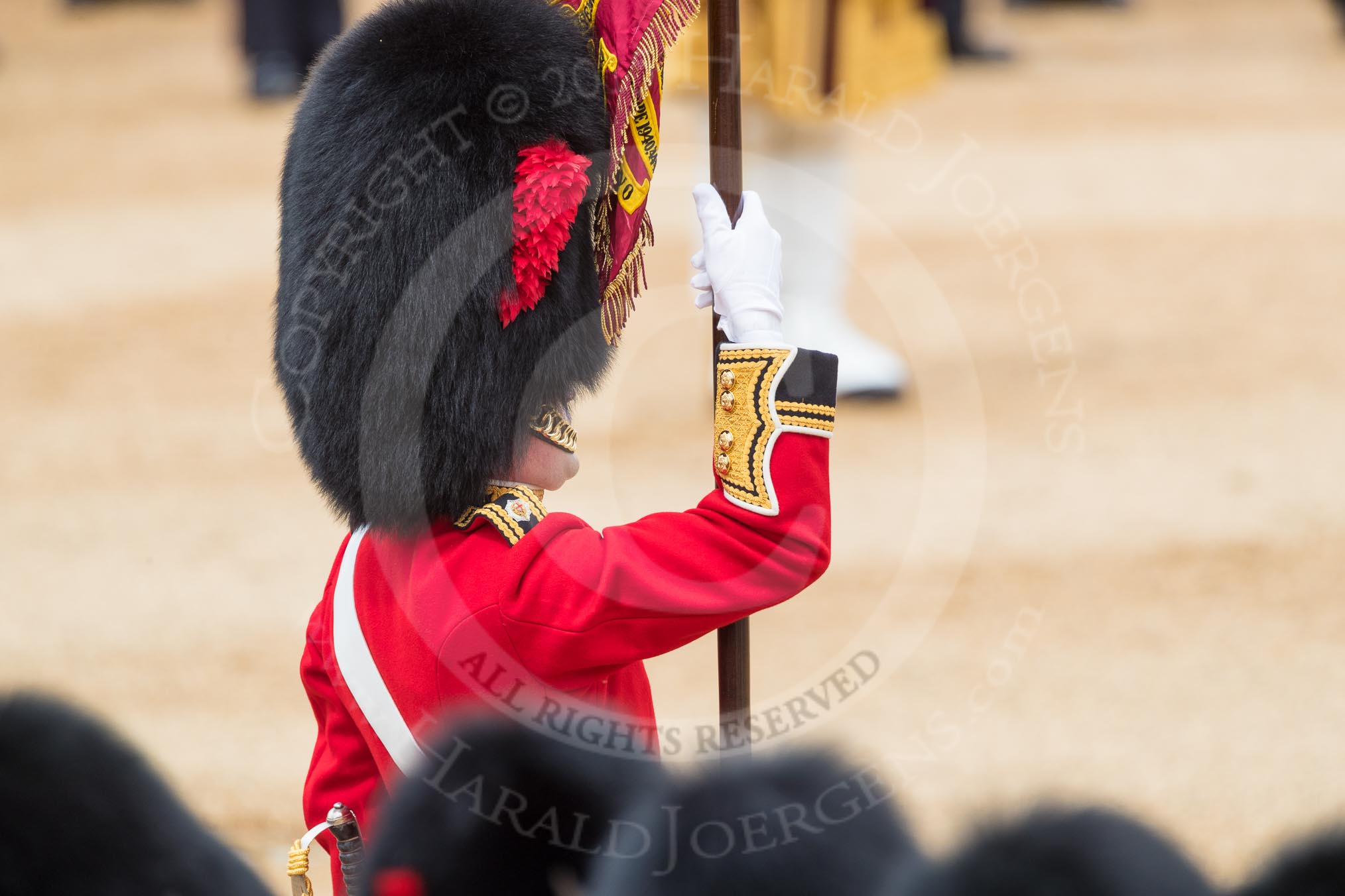 Trooping the Colour 2016.
Horse Guards Parade, Westminster,
London SW1A,
London,
United Kingdom,
on 11 June 2016 at 11:37, image #648