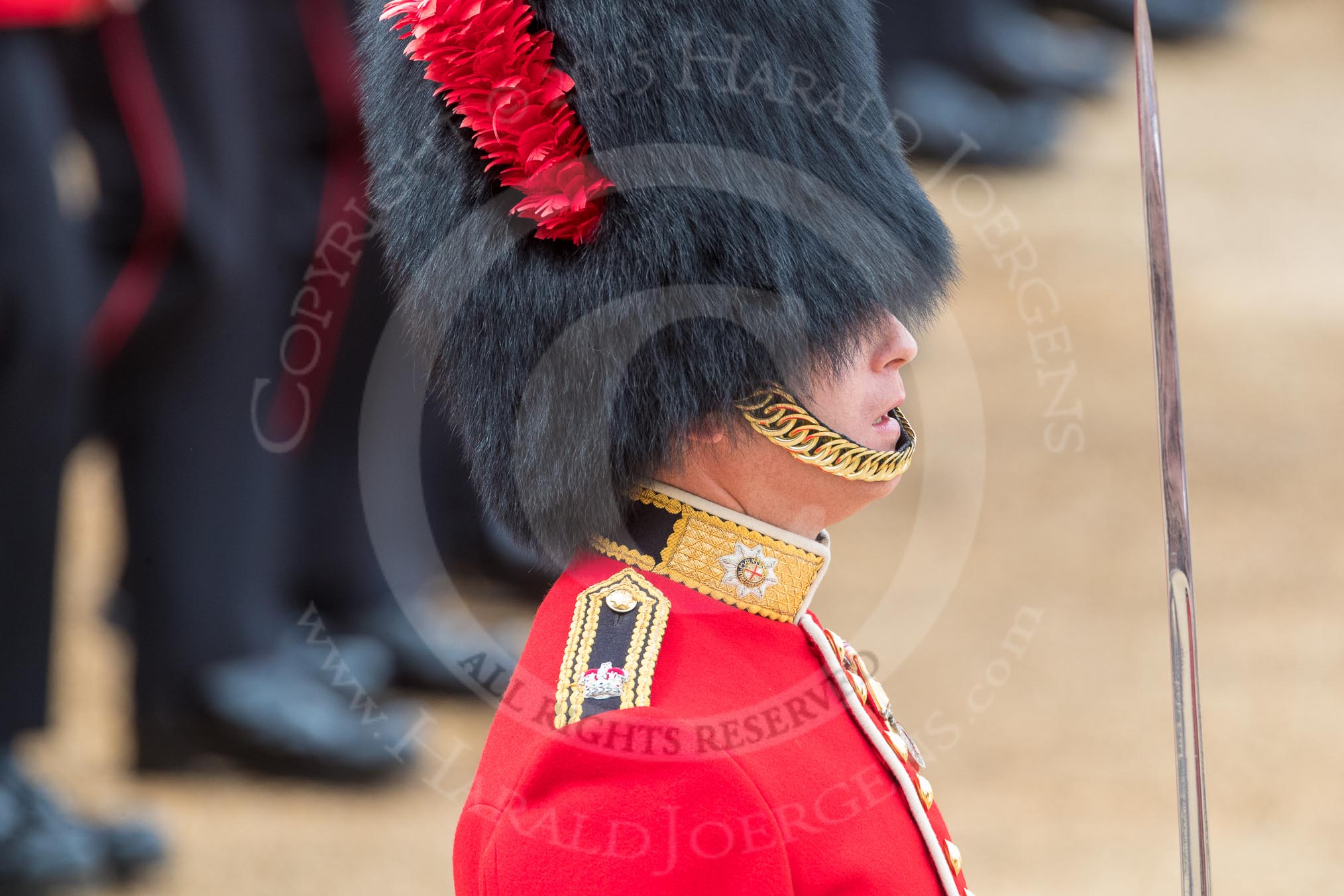 Trooping the Colour 2016.
Horse Guards Parade, Westminster,
London SW1A,
London,
United Kingdom,
on 11 June 2016 at 11:38, image #654