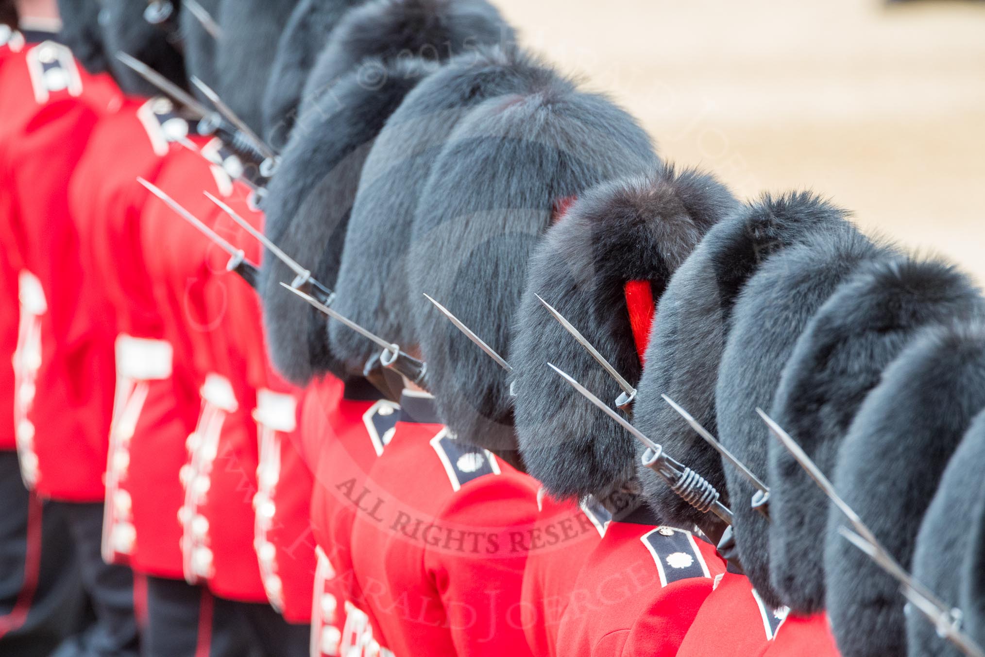 Trooping the Colour 2016.
Horse Guards Parade, Westminster,
London SW1A,
London,
United Kingdom,
on 11 June 2016 at 11:38, image #658