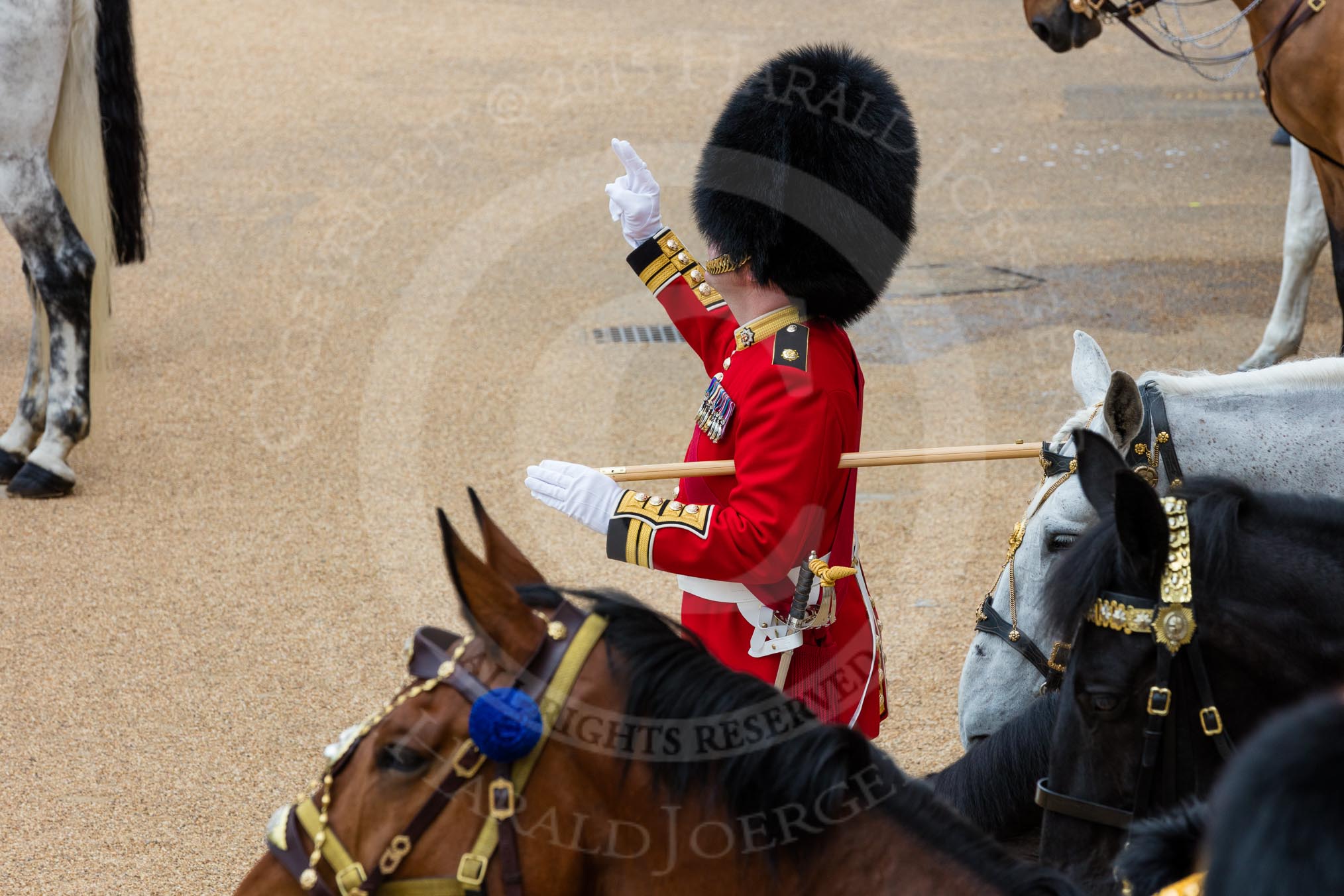 Trooping the Colour 2016.
Horse Guards Parade, Westminster,
London SW1A,
London,
United Kingdom,
on 11 June 2016 at 11:51, image #719