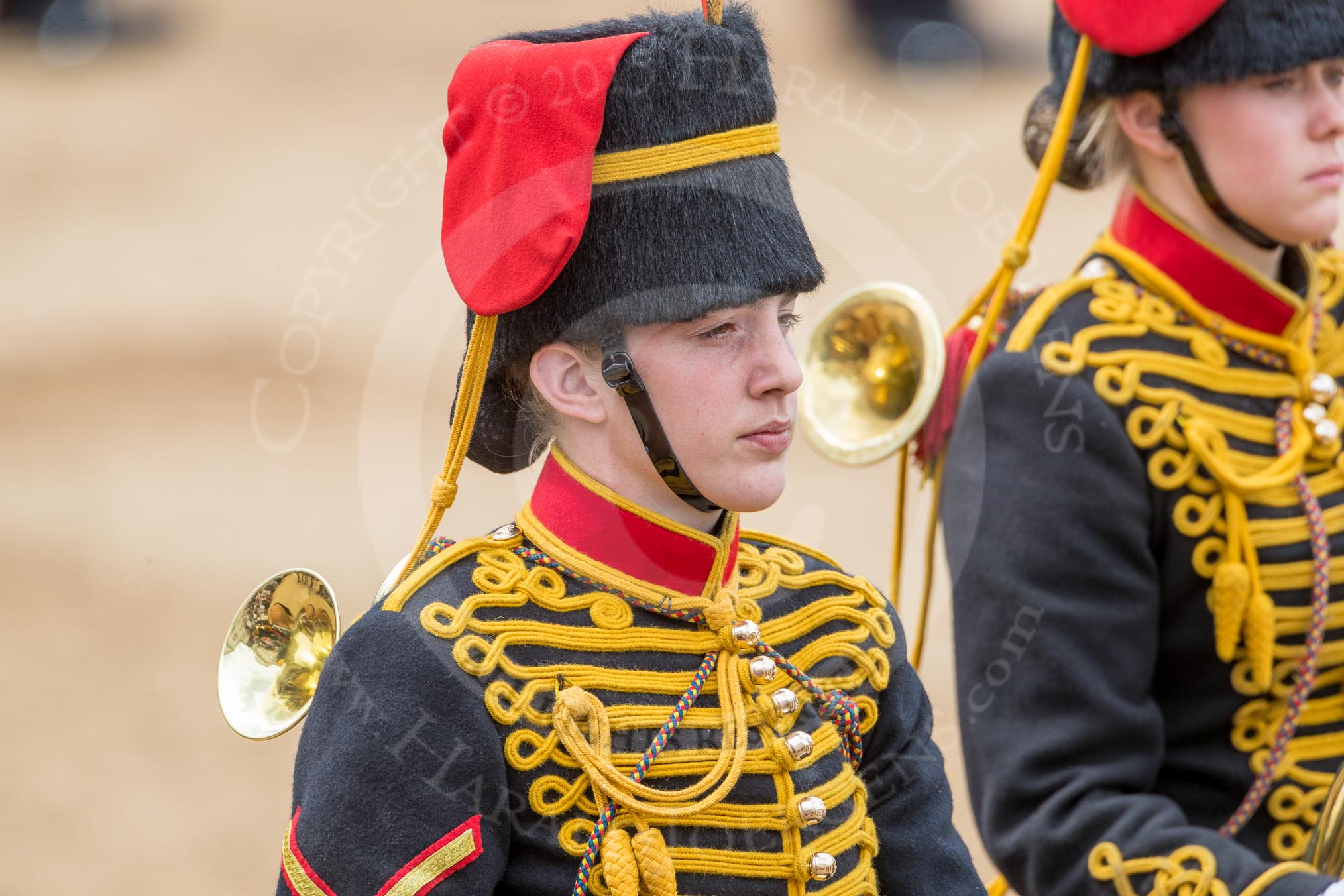 Trooping the Colour 2016.
Horse Guards Parade, Westminster,
London SW1A,
London,
United Kingdom,
on 11 June 2016 at 11:56, image #755
