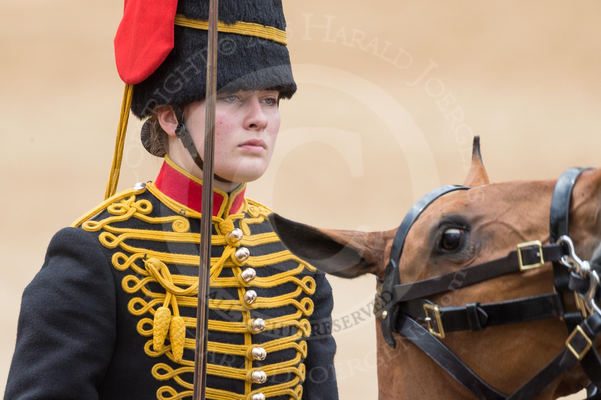Trooping the Colour 2016.
Horse Guards Parade, Westminster,
London SW1A,
London,
United Kingdom,
on 11 June 2016 at 11:56, image #758