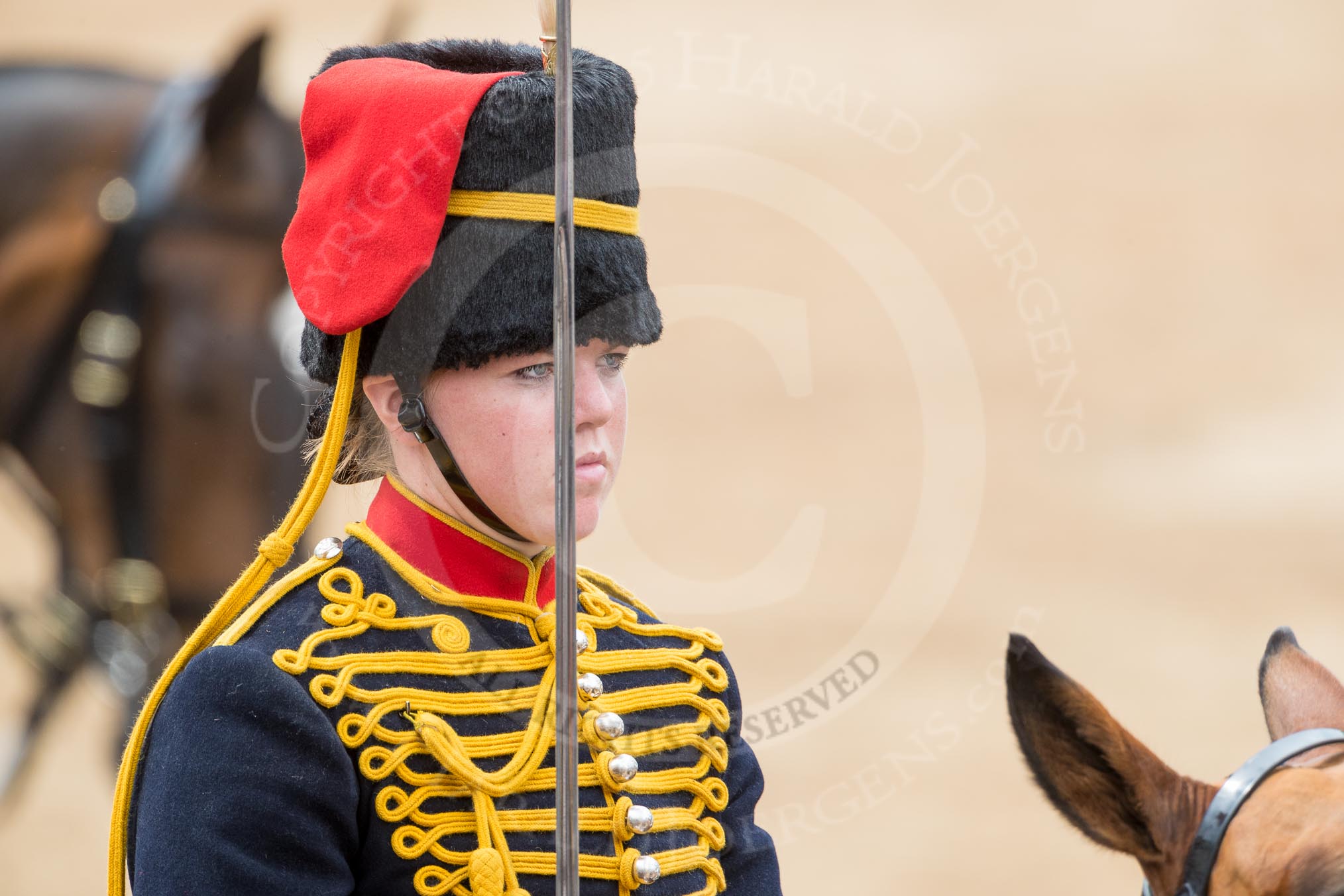 Trooping the Colour 2016.
Horse Guards Parade, Westminster,
London SW1A,
London,
United Kingdom,
on 11 June 2016 at 11:56, image #760