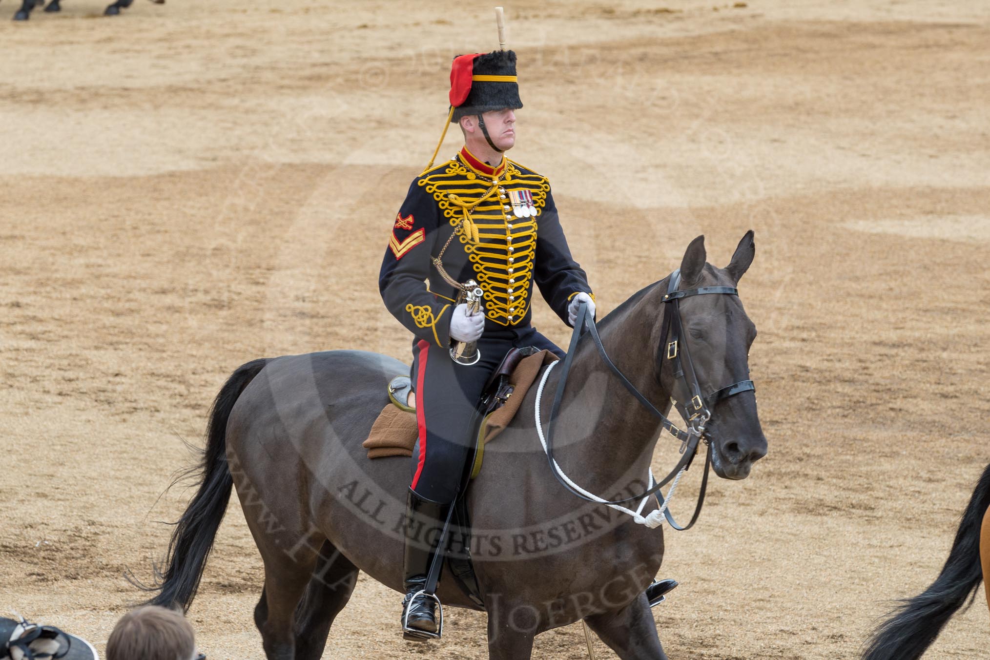 Trooping the Colour 2016.
Horse Guards Parade, Westminster,
London SW1A,
London,
United Kingdom,
on 11 June 2016 at 12:00, image #791