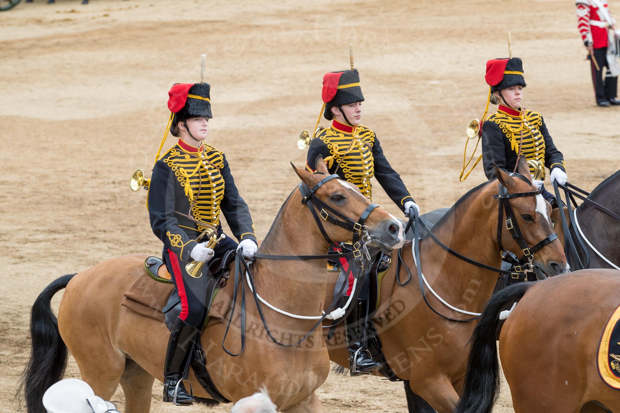 Trooping the Colour 2016.
Horse Guards Parade, Westminster,
London SW1A,
London,
United Kingdom,
on 11 June 2016 at 12:00, image #793