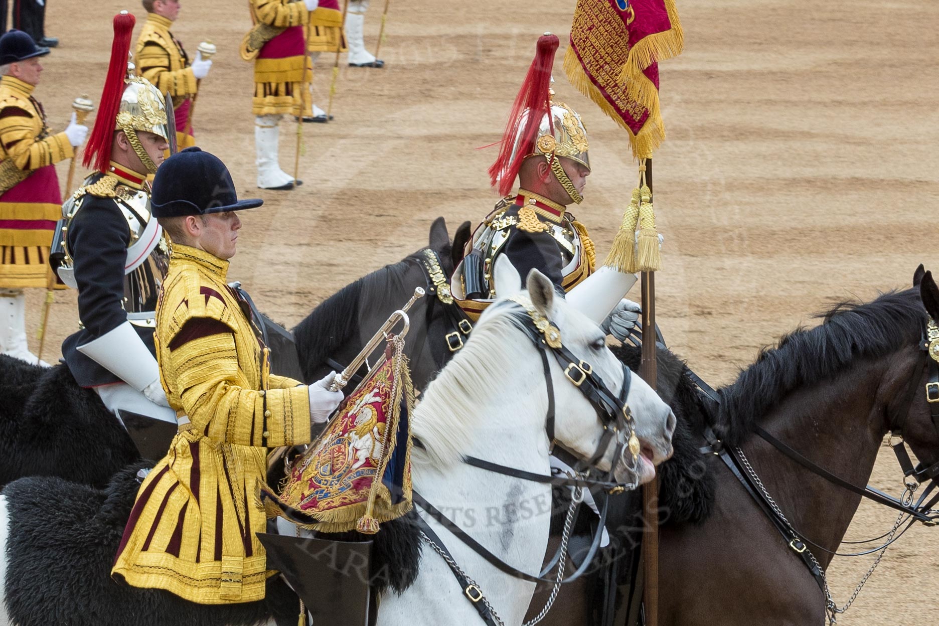 Trooping the Colour 2016.
Horse Guards Parade, Westminster,
London SW1A,
London,
United Kingdom,
on 11 June 2016 at 12:01, image #817