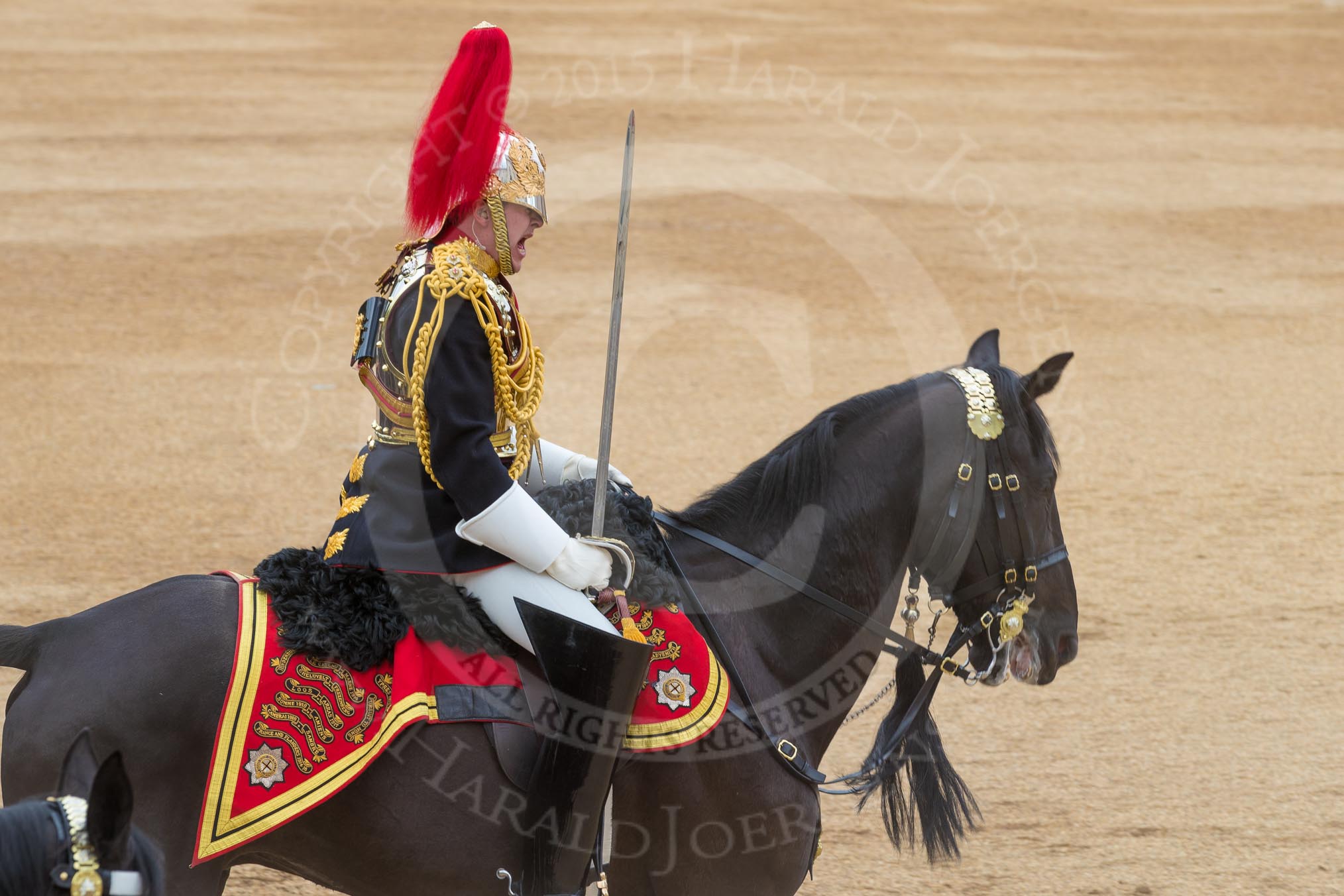 Trooping the Colour 2016.
Horse Guards Parade, Westminster,
London SW1A,
London,
United Kingdom,
on 11 June 2016 at 12:01, image #821