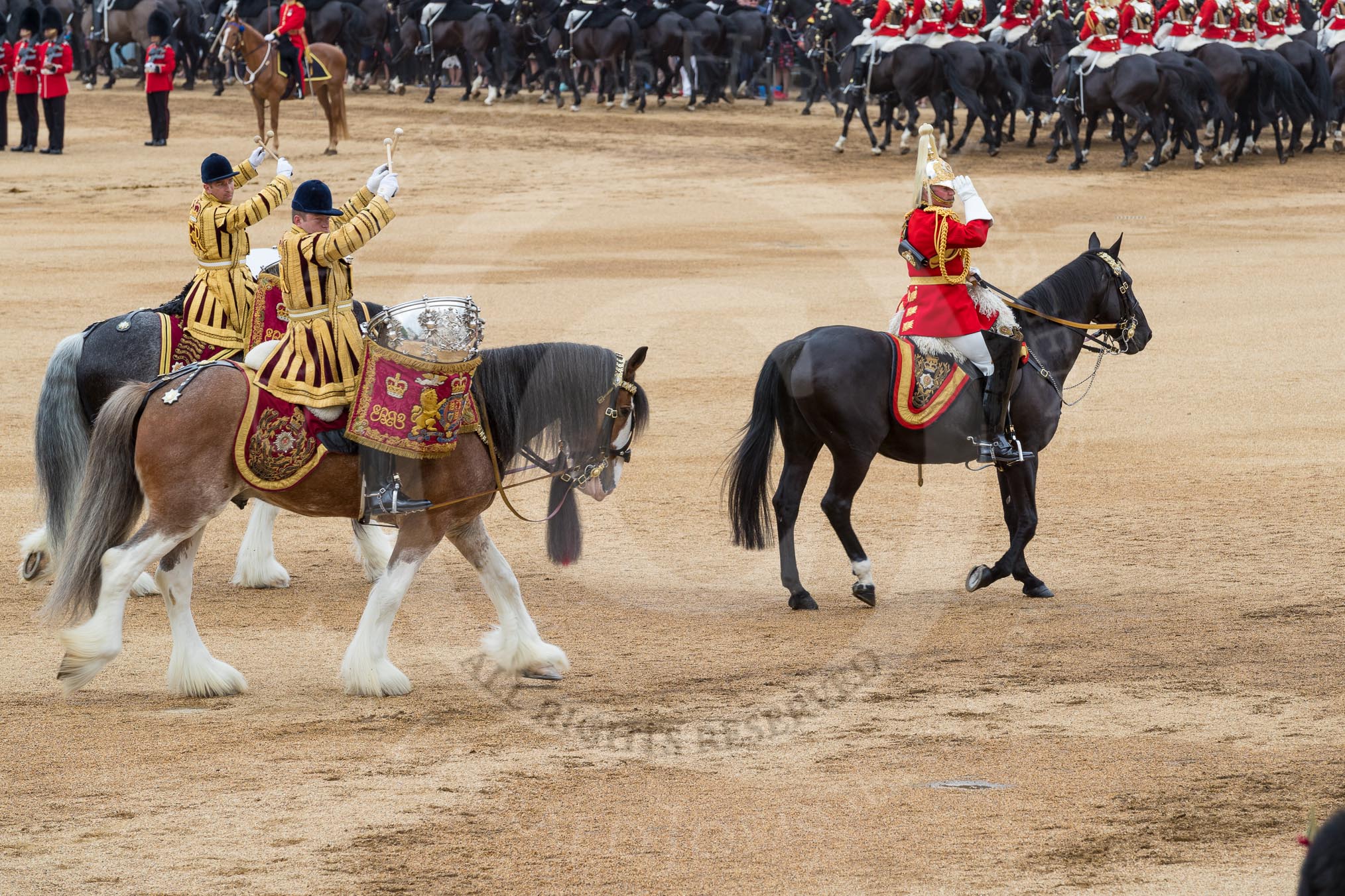 Trooping the Colour 2016.
Horse Guards Parade, Westminster,
London SW1A,
London,
United Kingdom,
on 11 June 2016 at 12:02, image #835