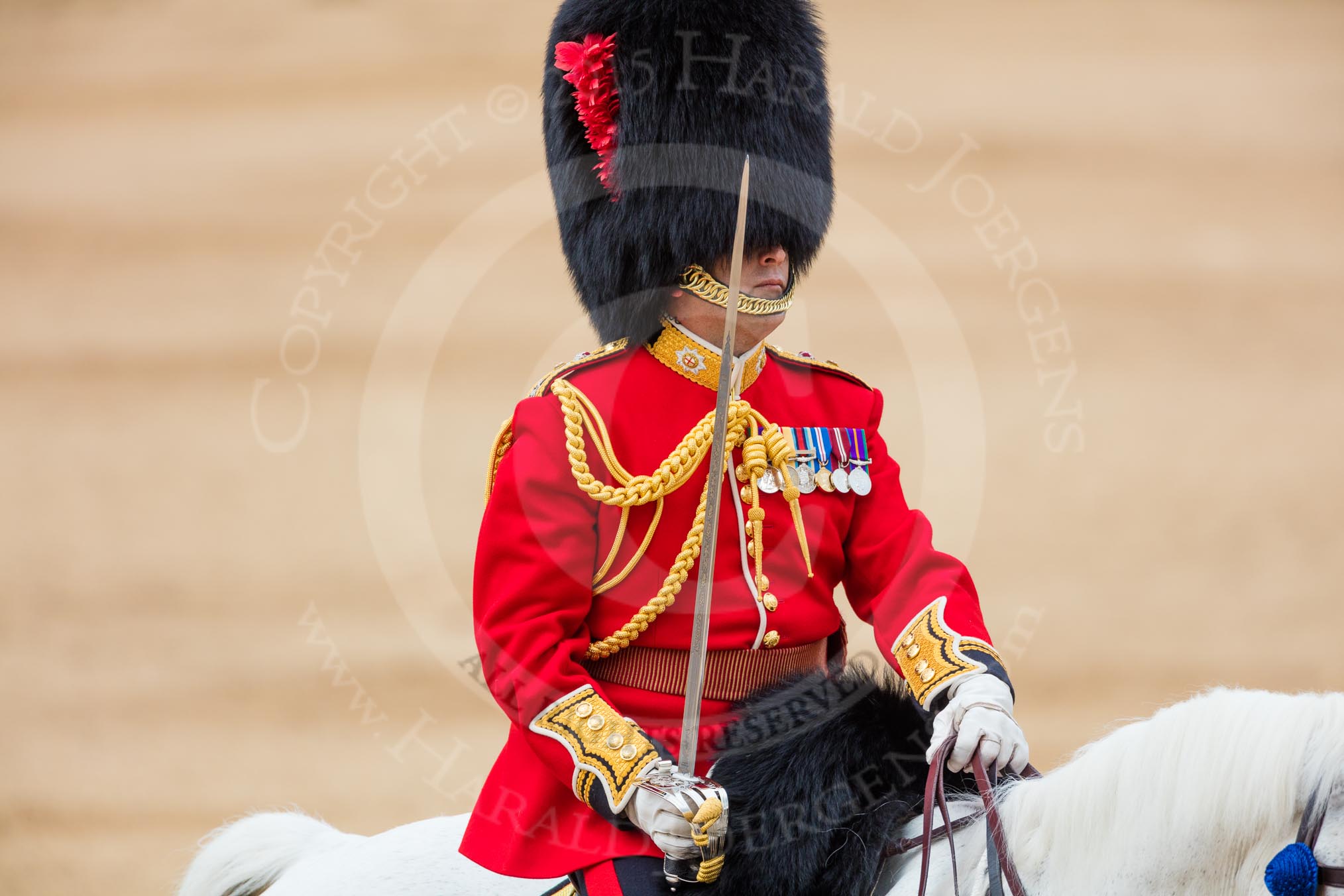 Trooping the Colour 2016.
Horse Guards Parade, Westminster,
London SW1A,
London,
United Kingdom,
on 11 June 2016 at 12:10, image #857