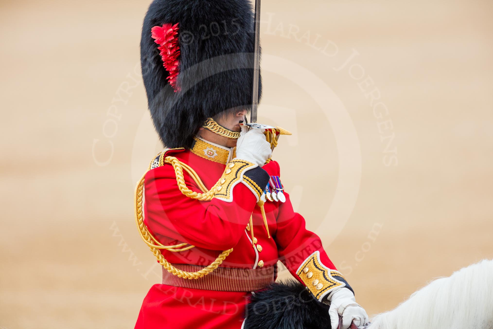 Trooping the Colour 2016.
Horse Guards Parade, Westminster,
London SW1A,
London,
United Kingdom,
on 11 June 2016 at 12:10, image #859