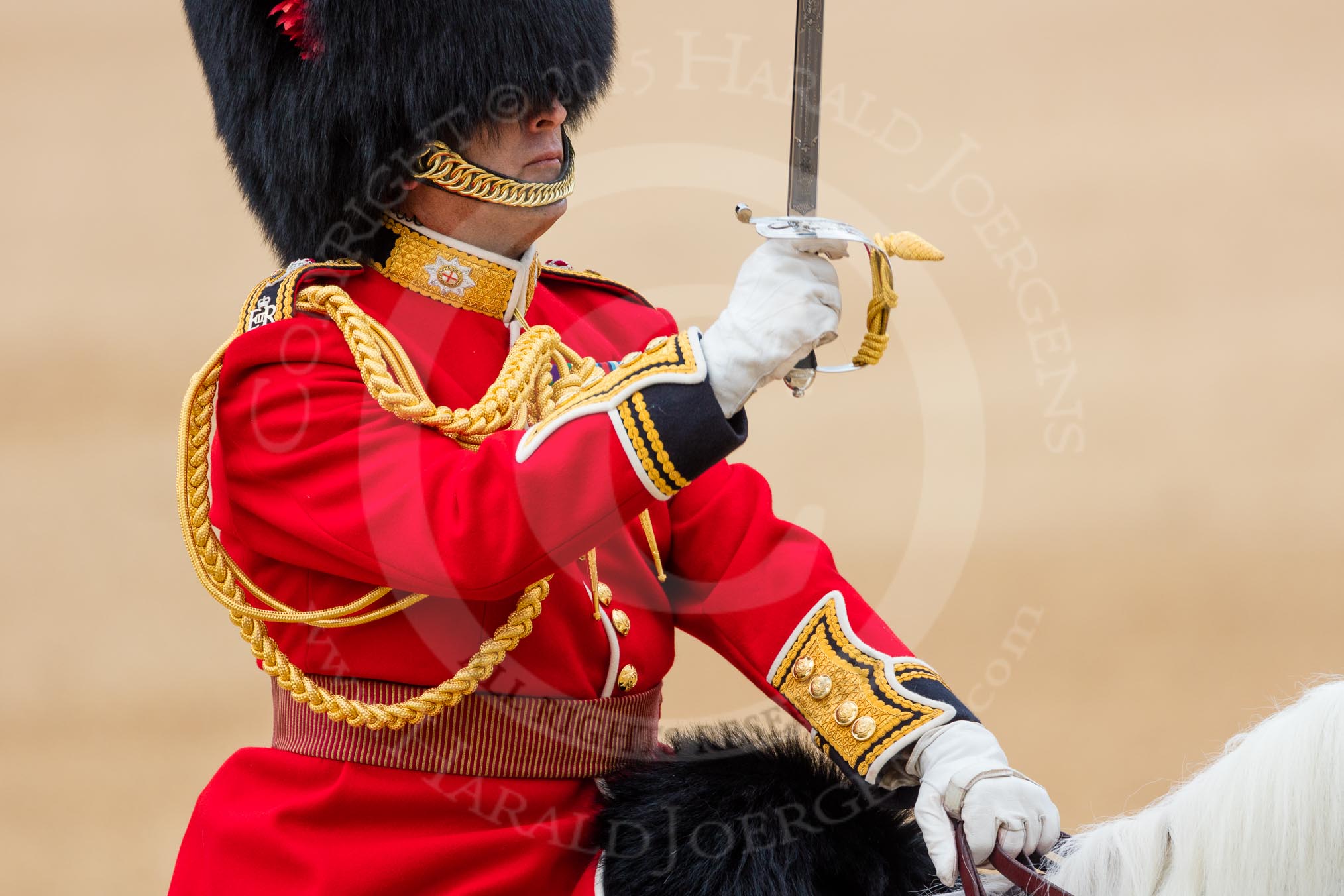 Trooping the Colour 2016.
Horse Guards Parade, Westminster,
London SW1A,
London,
United Kingdom,
on 11 June 2016 at 12:10, image #861