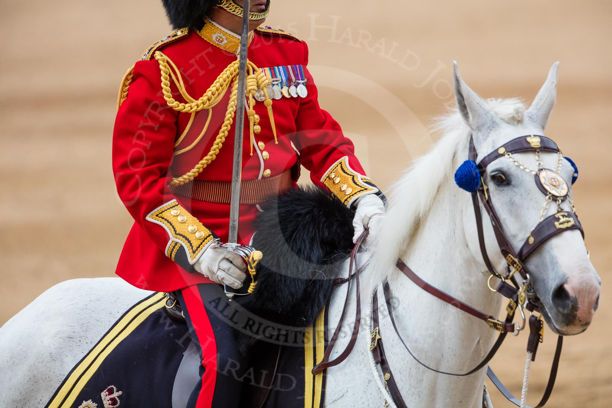 Trooping the Colour 2016.
Horse Guards Parade, Westminster,
London SW1A,
London,
United Kingdom,
on 11 June 2016 at 12:11, image #862