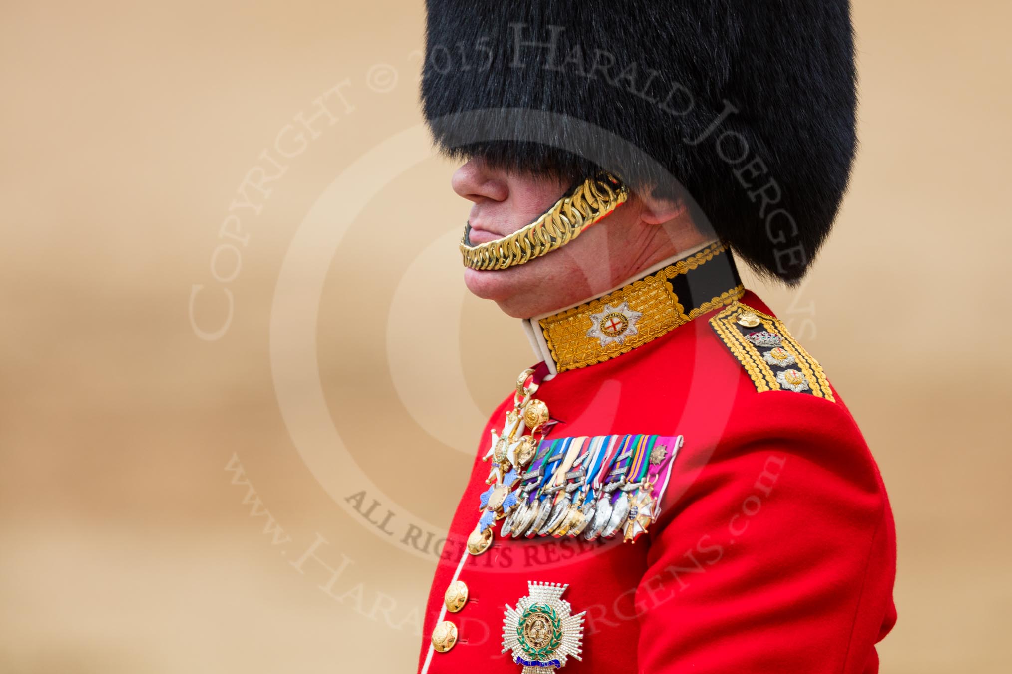 Trooping the Colour 2016.
Horse Guards Parade, Westminster,
London SW1A,
London,
United Kingdom,
on 11 June 2016 at 12:13, image #890