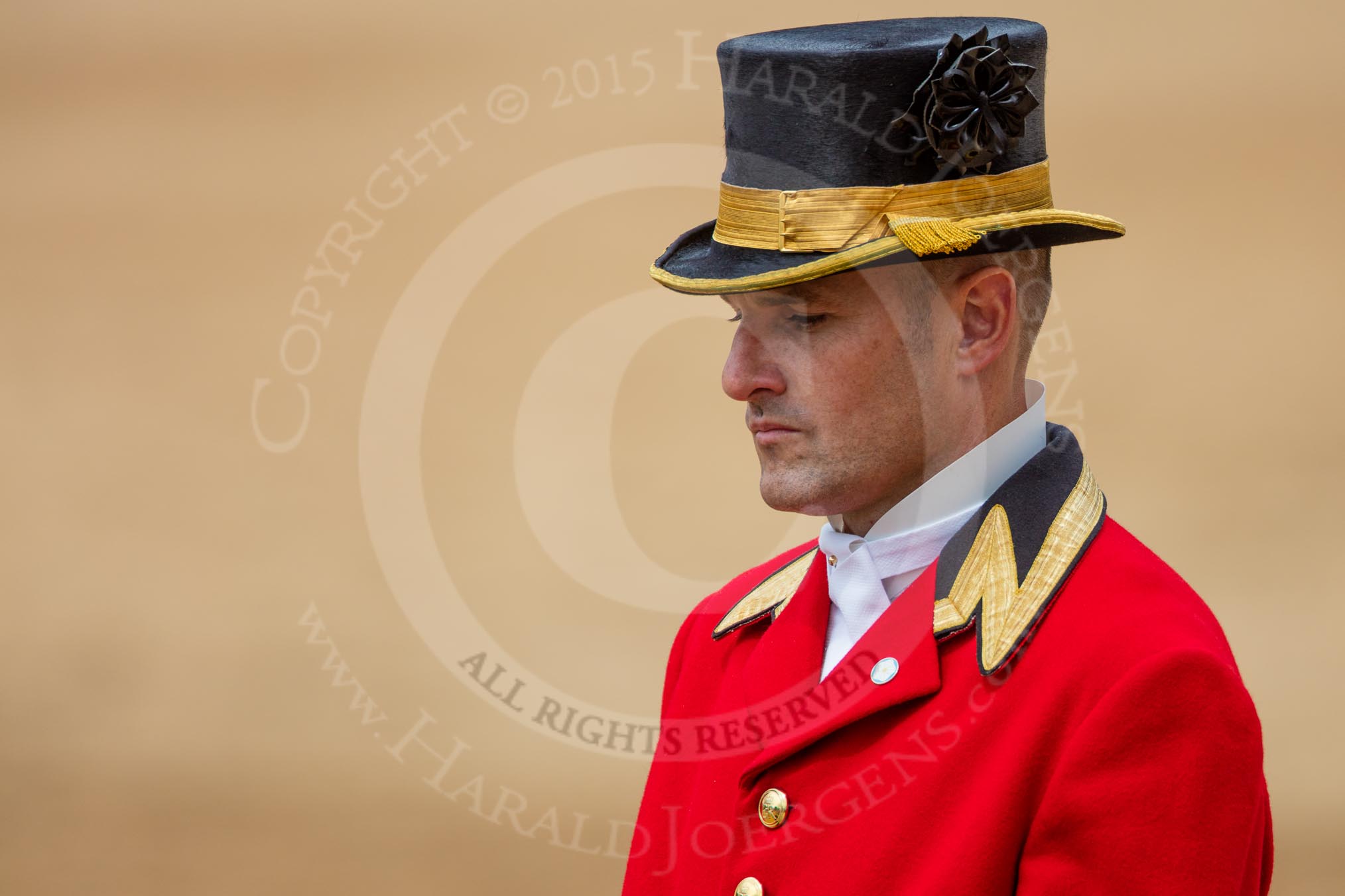 Trooping the Colour 2016.
Horse Guards Parade, Westminster,
London SW1A,
London,
United Kingdom,
on 11 June 2016 at 12:13, image #892