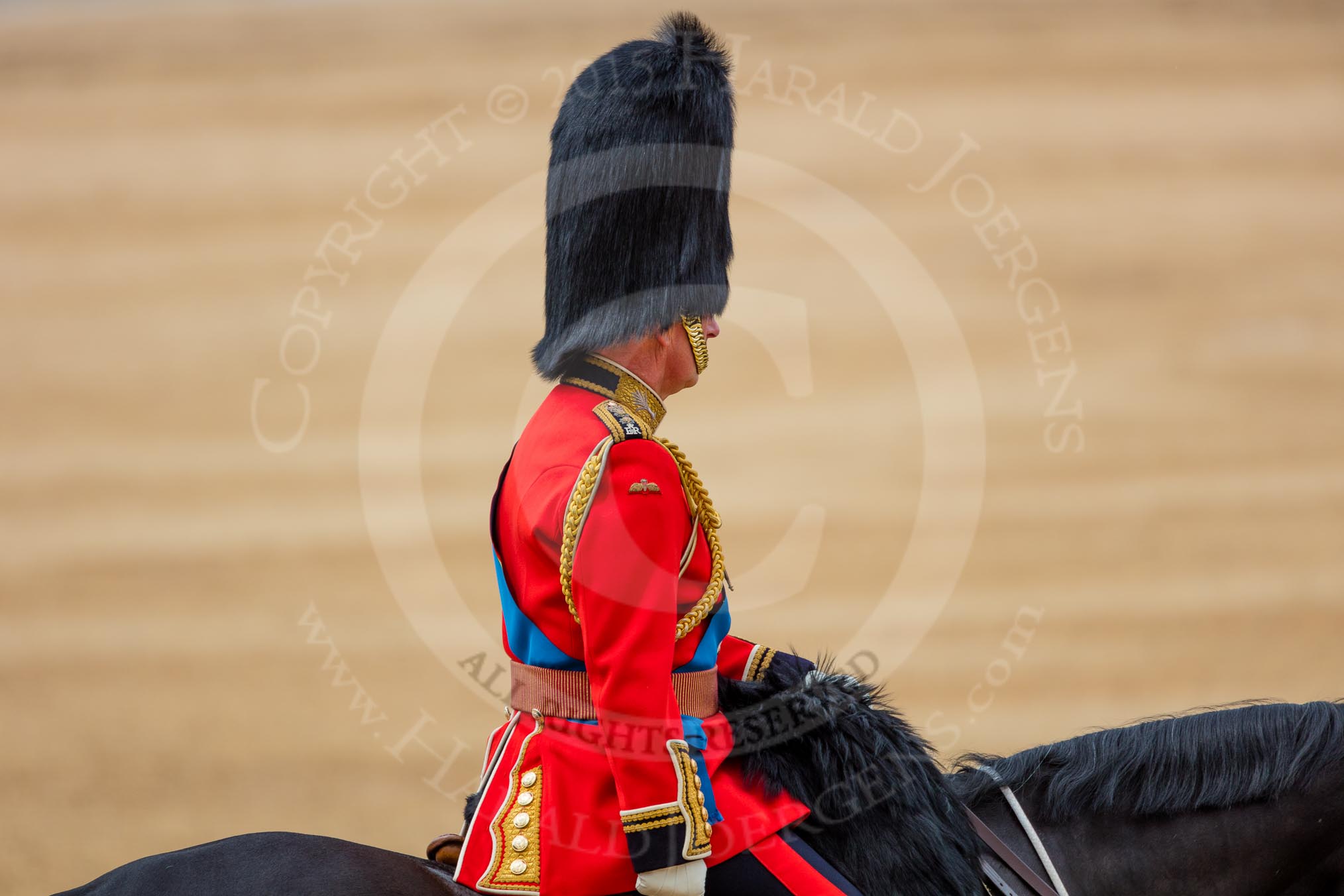 Trooping the Colour 2016.
Horse Guards Parade, Westminster,
London SW1A,
London,
United Kingdom,
on 11 June 2016 at 12:14, image #897