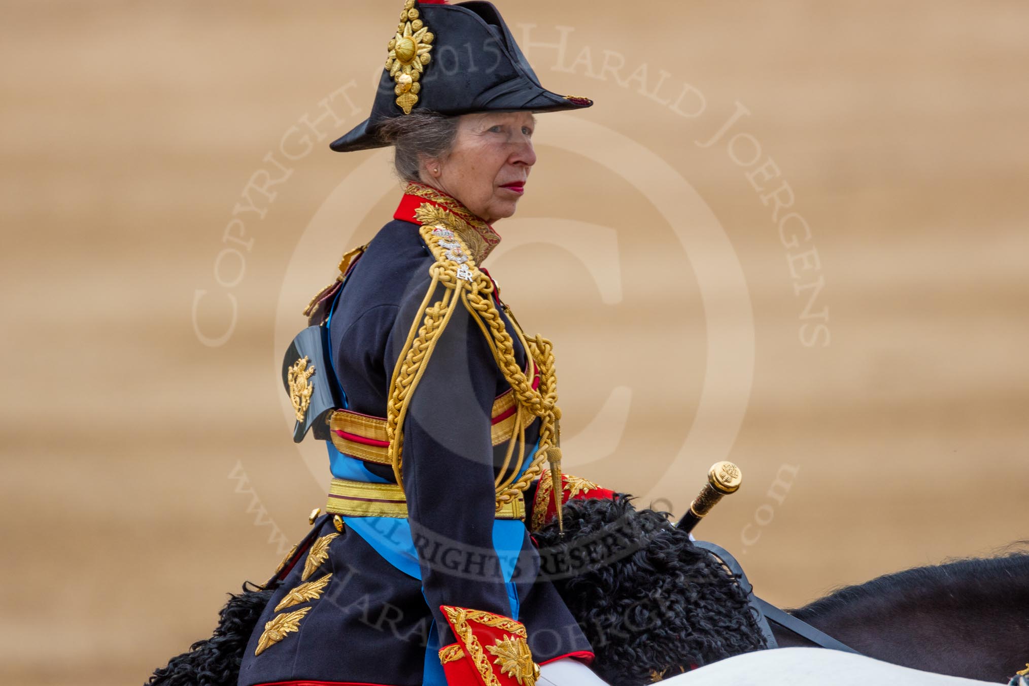 Trooping the Colour 2016.
Horse Guards Parade, Westminster,
London SW1A,
London,
United Kingdom,
on 11 June 2016 at 12:14, image #899