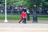 Trooping the Colour 2016.
Horse Guards Parade, Westminster,
London SW1A,
London,
United Kingdom,
on 11 June 2016 at 10:04, image #63