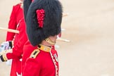 Trooping the Colour 2016.
Horse Guards Parade, Westminster,
London SW1A,
London,
United Kingdom,
on 11 June 2016 at 10:04, image #64