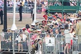 Trooping the Colour 2016.
Horse Guards Parade, Westminster,
London SW1A,
London,
United Kingdom,
on 11 June 2016 at 10:12, image #80