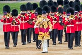 Trooping the Colour 2016.
Horse Guards Parade, Westminster,
London SW1A,
London,
United Kingdom,
on 11 June 2016 at 10:18, image #106