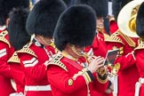 Trooping the Colour 2016.
Horse Guards Parade, Westminster,
London SW1A,
London,
United Kingdom,
on 11 June 2016 at 10:20, image #112