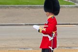 Trooping the Colour 2016.
Horse Guards Parade, Westminster,
London SW1A,
London,
United Kingdom,
on 11 June 2016 at 10:21, image #113