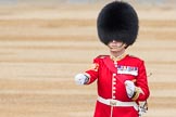 Trooping the Colour 2016.
Horse Guards Parade, Westminster,
London SW1A,
London,
United Kingdom,
on 11 June 2016 at 10:22, image #114