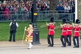 Trooping the Colour 2016.
Horse Guards Parade, Westminster,
London SW1A,
London,
United Kingdom,
on 11 June 2016 at 10:26, image #122
