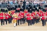 Trooping the Colour 2016.
Horse Guards Parade, Westminster,
London SW1A,
London,
United Kingdom,
on 11 June 2016 at 10:27, image #131