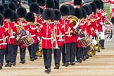 Trooping the Colour 2016.
Horse Guards Parade, Westminster,
London SW1A,
London,
United Kingdom,
on 11 June 2016 at 10:27, image #132