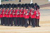 Trooping the Colour 2016.
Horse Guards Parade, Westminster,
London SW1A,
London,
United Kingdom,
on 11 June 2016 at 10:27, image #133