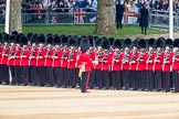 Trooping the Colour 2016.
Horse Guards Parade, Westminster,
London SW1A,
London,
United Kingdom,
on 11 June 2016 at 10:28, image #135