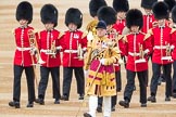 Trooping the Colour 2016.
Horse Guards Parade, Westminster,
London SW1A,
London,
United Kingdom,
on 11 June 2016 at 10:28, image #136