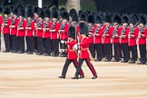 Trooping the Colour 2016.
Horse Guards Parade, Westminster,
London SW1A,
London,
United Kingdom,
on 11 June 2016 at 10:30, image #146