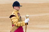 Trooping the Colour 2016.
Horse Guards Parade, Westminster,
London SW1A,
London,
United Kingdom,
on 11 June 2016 at 10:34, image #167