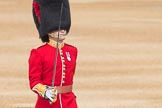 Trooping the Colour 2016.
Horse Guards Parade, Westminster,
London SW1A,
London,
United Kingdom,
on 11 June 2016 at 10:34, image #172
