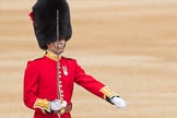 Trooping the Colour 2016.
Horse Guards Parade, Westminster,
London SW1A,
London,
United Kingdom,
on 11 June 2016 at 10:34, image #173