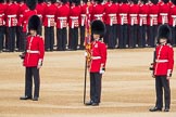 Trooping the Colour 2016.
Horse Guards Parade, Westminster,
London SW1A,
London,
United Kingdom,
on 11 June 2016 at 10:35, image #174