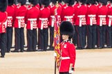 Trooping the Colour 2016.
Horse Guards Parade, Westminster,
London SW1A,
London,
United Kingdom,
on 11 June 2016 at 10:35, image #175