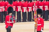 Trooping the Colour 2016.
Horse Guards Parade, Westminster,
London SW1A,
London,
United Kingdom,
on 11 June 2016 at 10:35, image #177