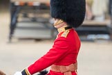Trooping the Colour 2016.
Horse Guards Parade, Westminster,
London SW1A,
London,
United Kingdom,
on 11 June 2016 at 10:36, image #178