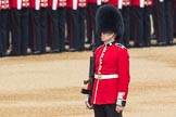 Trooping the Colour 2016.
Horse Guards Parade, Westminster,
London SW1A,
London,
United Kingdom,
on 11 June 2016 at 10:36, image #179