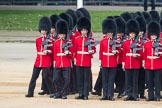 Trooping the Colour 2016.
Horse Guards Parade, Westminster,
London SW1A,
London,
United Kingdom,
on 11 June 2016 at 10:37, image #185