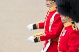 Trooping the Colour 2016.
Horse Guards Parade, Westminster,
London SW1A,
London,
United Kingdom,
on 11 June 2016 at 10:38, image #188