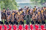 Trooping the Colour 2016.
Horse Guards Parade, Westminster,
London SW1A,
London,
United Kingdom,
on 11 June 2016 at 10:40, image #198