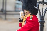 Trooping the Colour 2016.
Horse Guards Parade, Westminster,
London SW1A,
London,
United Kingdom,
on 11 June 2016 at 10:40, image #200