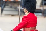 Trooping the Colour 2016.
Horse Guards Parade, Westminster,
London SW1A,
London,
United Kingdom,
on 11 June 2016 at 10:40, image #201