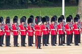 Trooping the Colour 2016.
Horse Guards Parade, Westminster,
London SW1A,
London,
United Kingdom,
on 11 June 2016 at 10:42, image #205